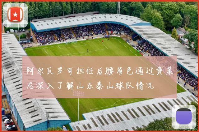 阿尔瓦罗可担任后腰角色通过费莱尼深入了解山东泰山球队情况