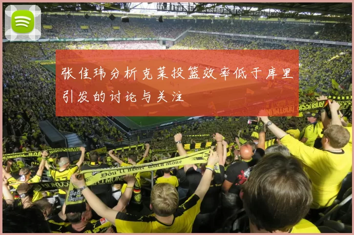 张佳玮分析克莱投篮效率低于库里引发的讨论与关注