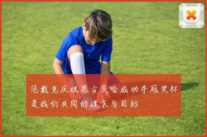 范戴克庆祝恩古莫哈成功夺冠奖杯是我们共同的追求与目标