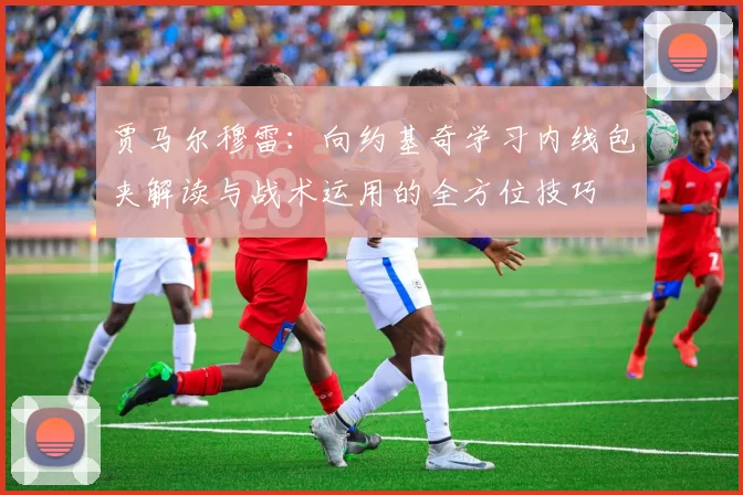 贾马尔穆雷：向约基奇学习内线包夹解读与战术运用的全方位技巧