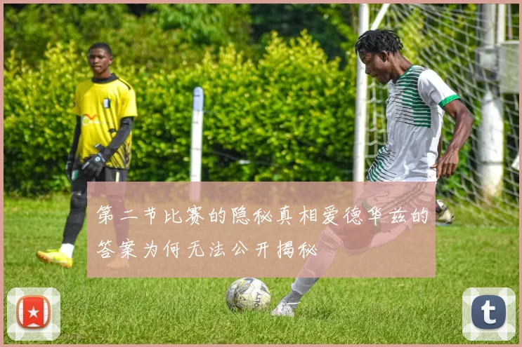 第二节比赛的隐秘真相爱德华兹的答案为何无法公开揭秘